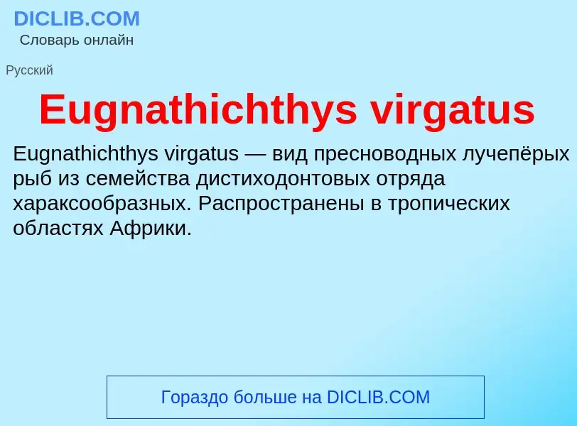 Что такое Eugnathichthys virgatus - определение