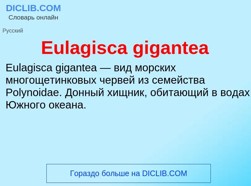 Что такое Eulagisca gigantea - определение