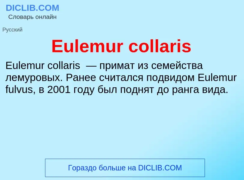 Что такое Eulemur collaris - определение