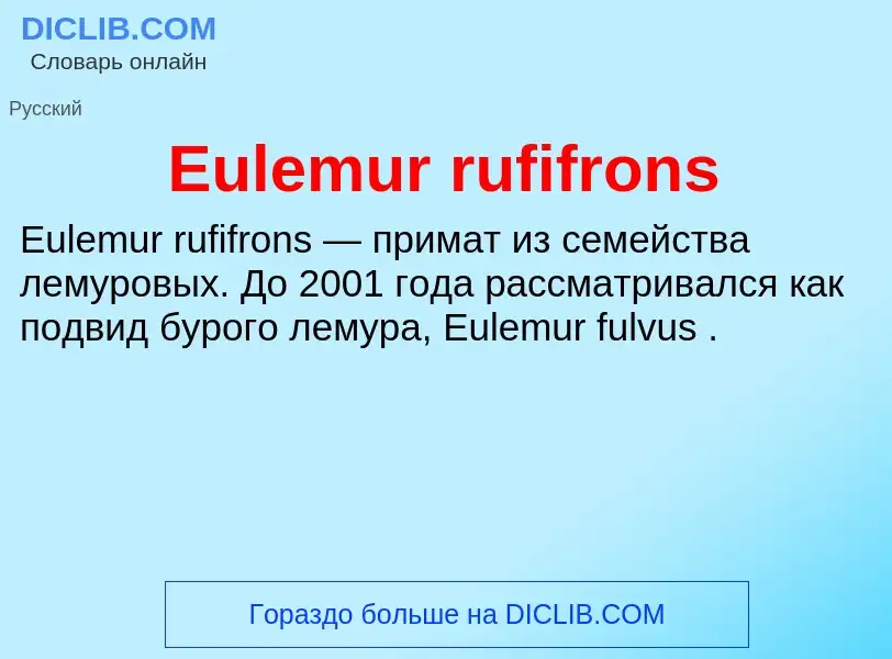 Что такое Eulemur rufifrons - определение