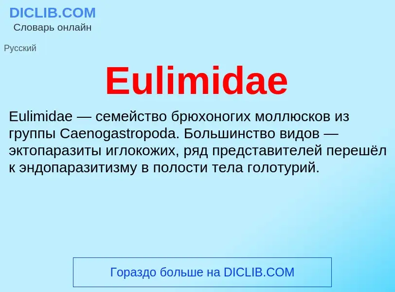 Что такое Eulimidae - определение