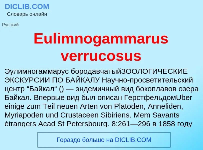 Что такое Eulimnogammarus verrucosus - определение