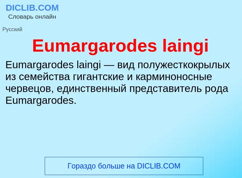 Что такое Eumargarodes laingi - определение