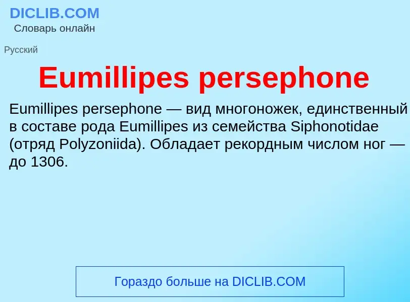 Что такое Eumillipes persephone - определение