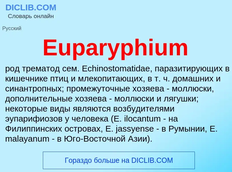 Что такое Euparyphium - определение