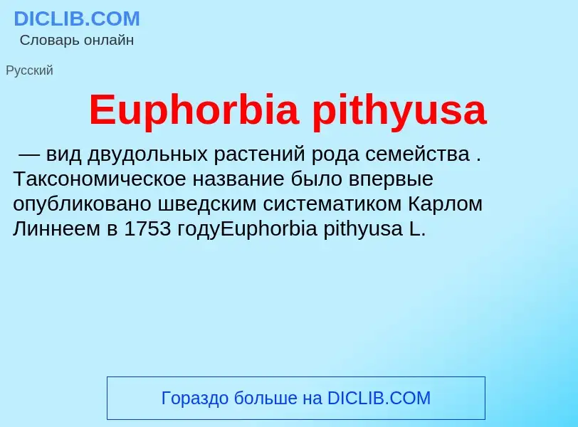 Что такое Euphorbia pithyusa - определение