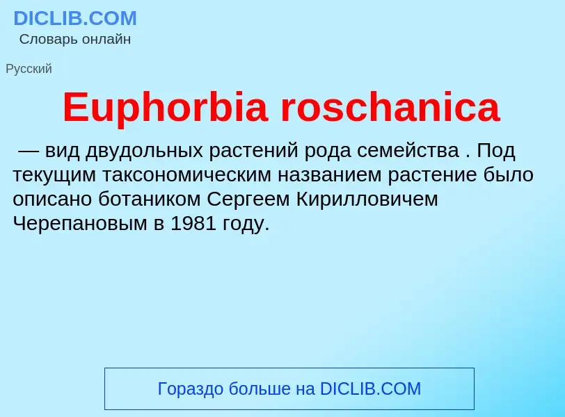 Что такое Euphorbia roschanica - определение