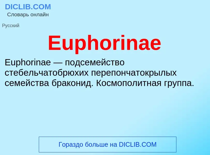 Что такое Euphorinae - определение