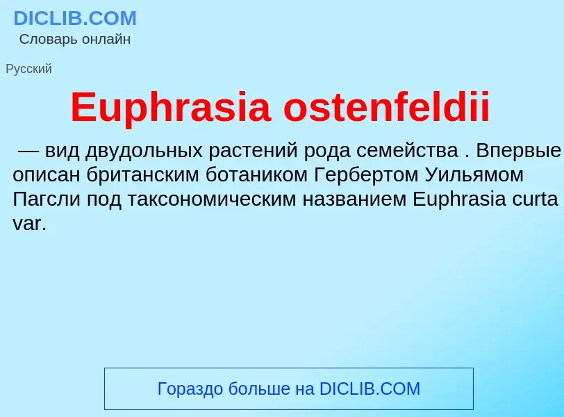 Что такое Euphrasia ostenfeldii - определение