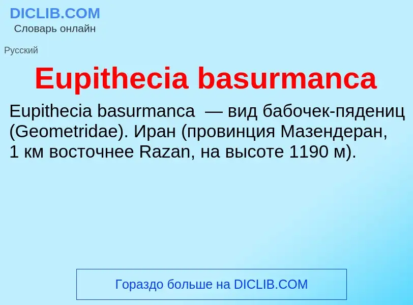 Что такое Eupithecia basurmanca - определение