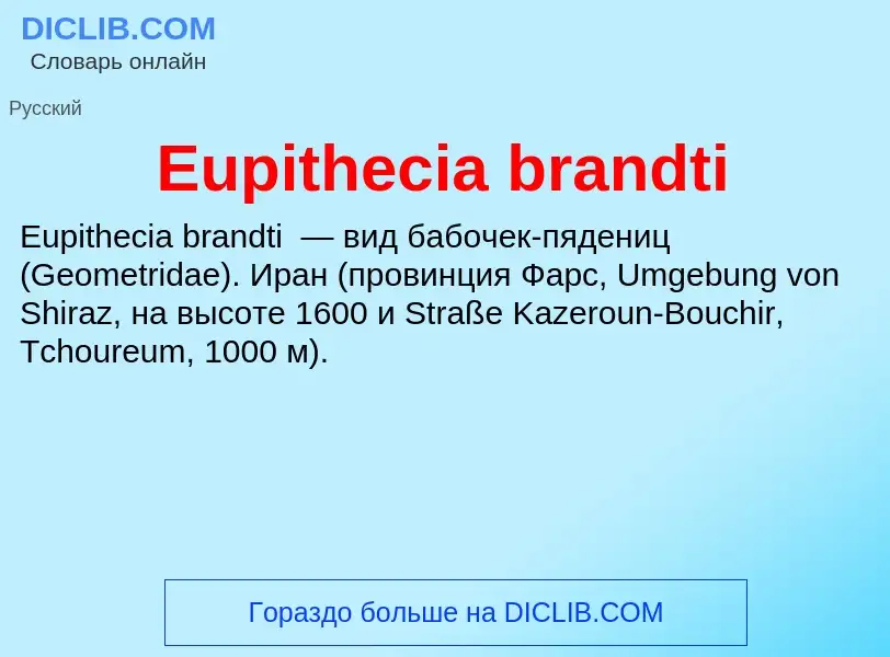 Что такое Eupithecia brandti - определение