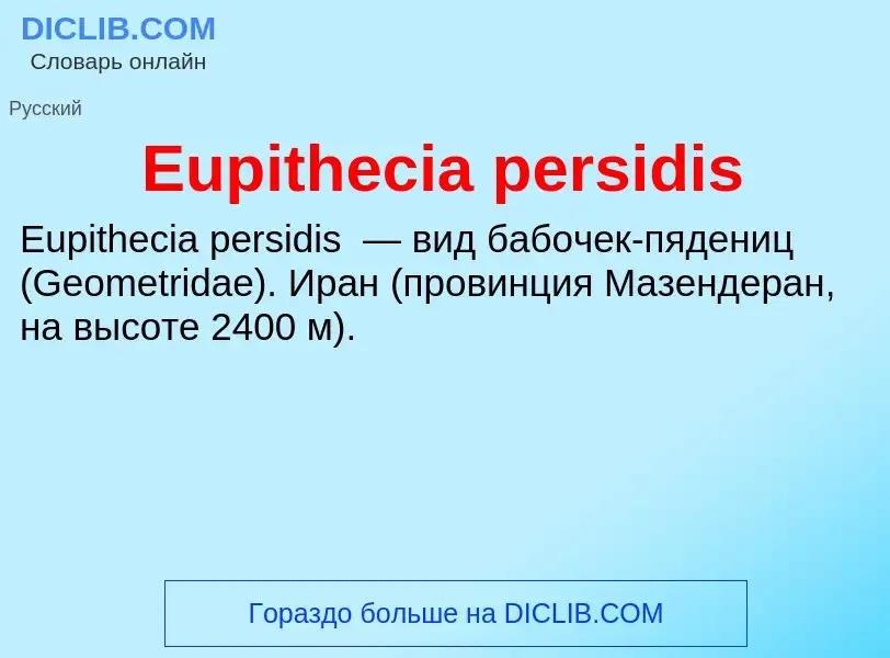 Was ist Eupithecia persidis - Definition