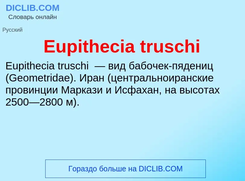 Что такое Eupithecia truschi - определение