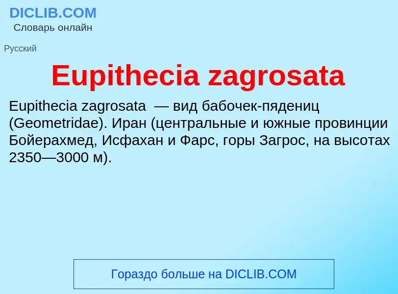 Что такое Eupithecia zagrosata - определение