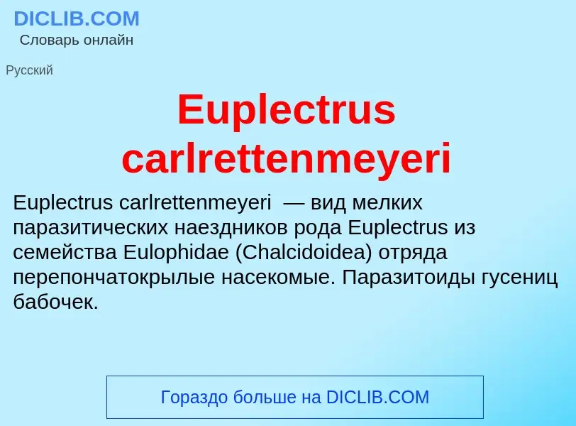 Was ist Euplectrus carlrettenmeyeri - Definition