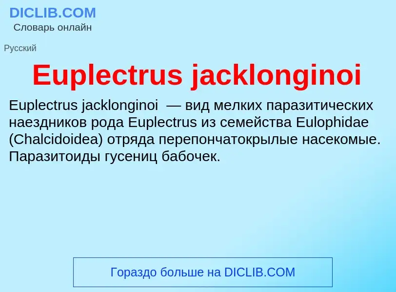 Что такое Euplectrus jacklonginoi - определение