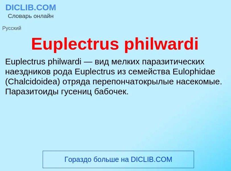 Wat is Euplectrus philwardi - definition