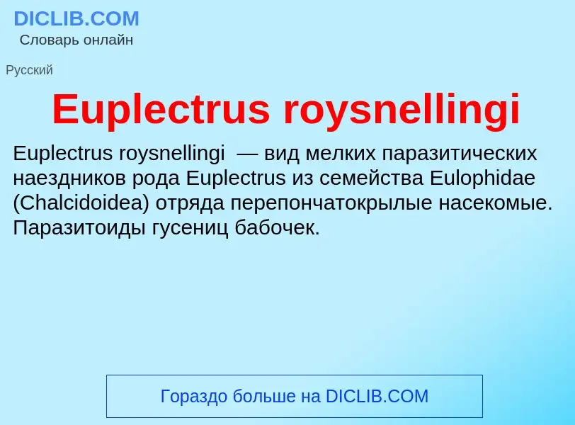 Что такое Euplectrus roysnellingi - определение