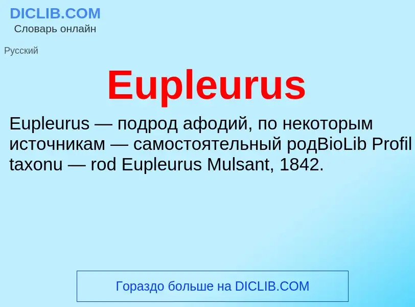 Что такое Eupleurus - определение