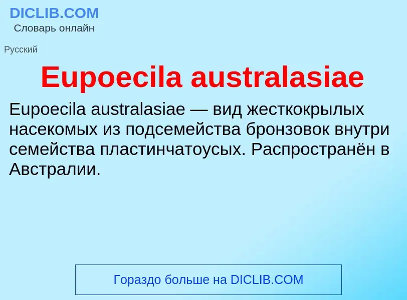 Wat is Eupoecila australasiae - definition