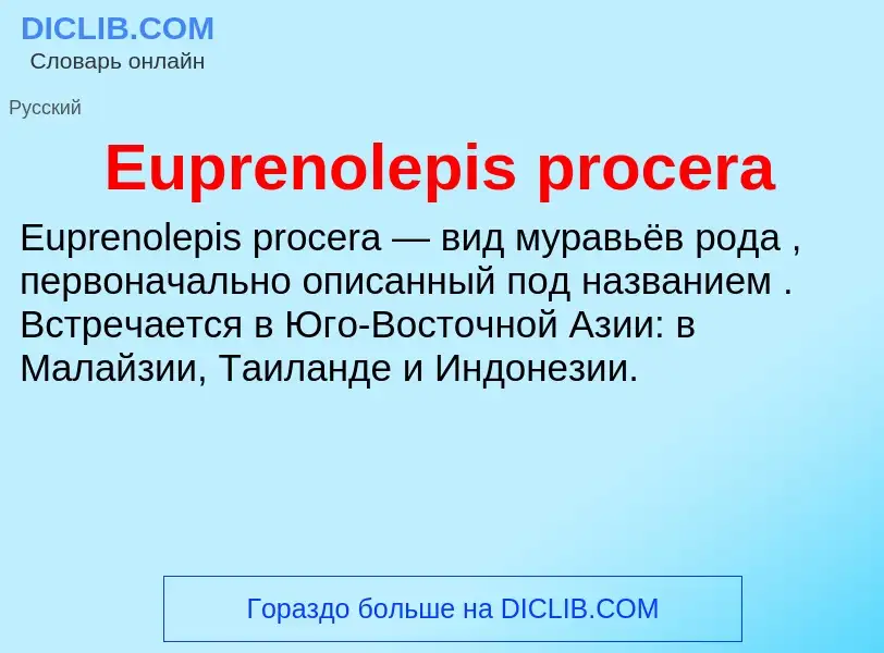 Что такое Euprenolepis procera - определение