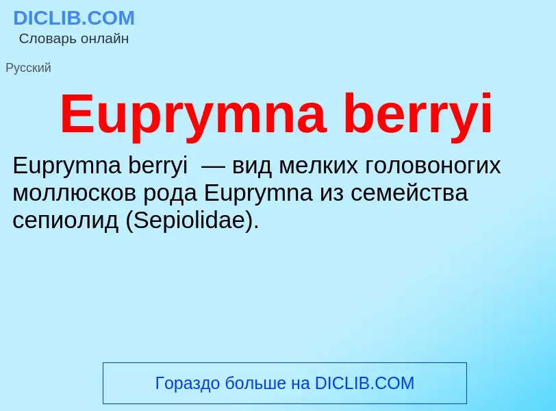 Wat is Euprymna berryi - definition