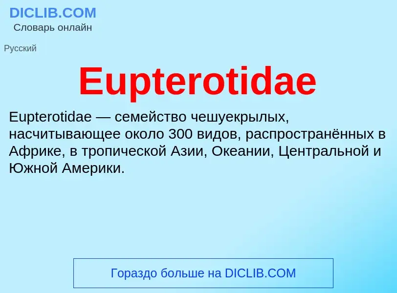 Что такое Eupterotidae - определение