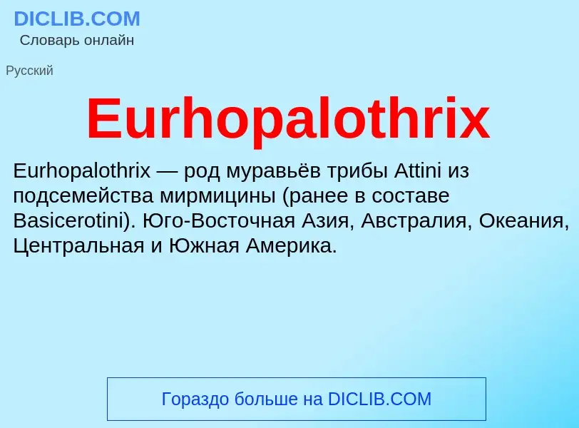 Wat is Eurhopalothrix - definition