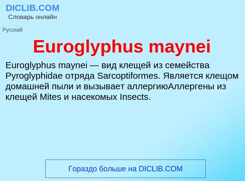 Wat is Euroglyphus maynei - definition