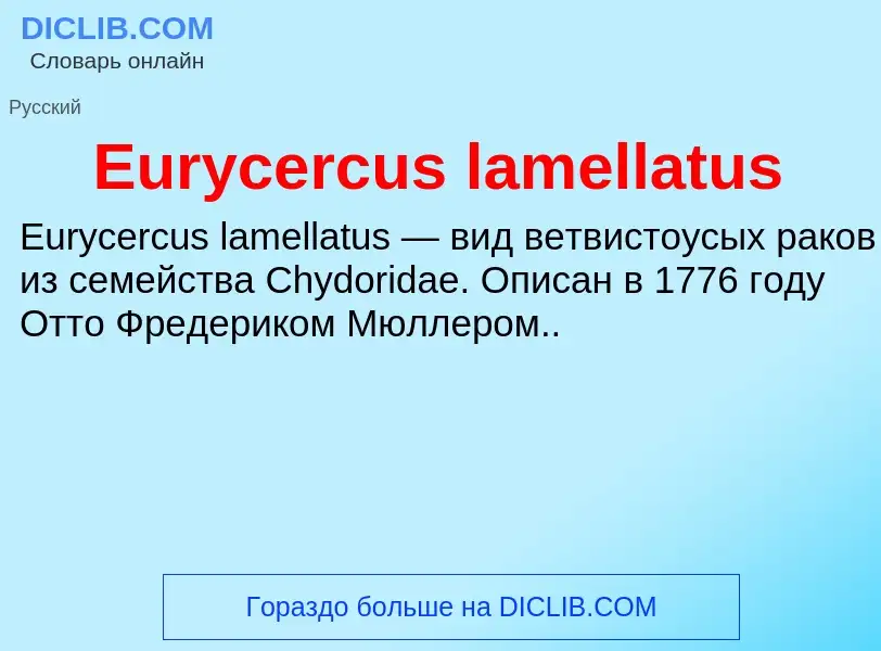 Was ist Eurycercus lamellatus - Definition