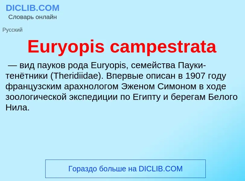 Was ist Euryopis campestrata - Definition