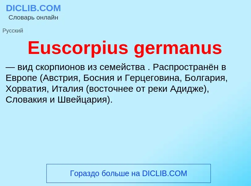 Was ist Euscorpius germanus - Definition