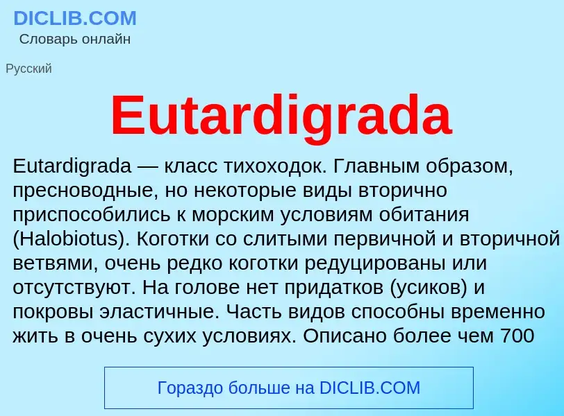 Was ist Eutardigrada - Definition