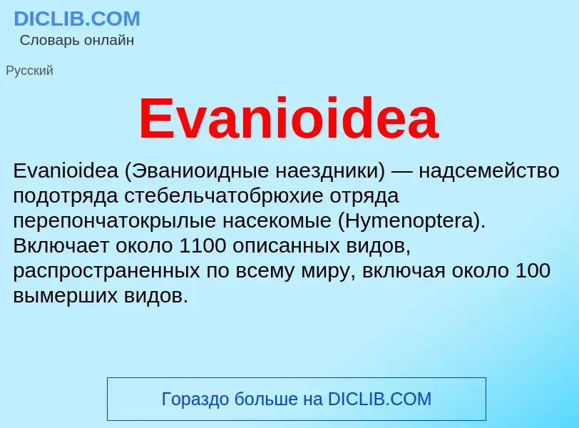 What is Evanioidea - definition