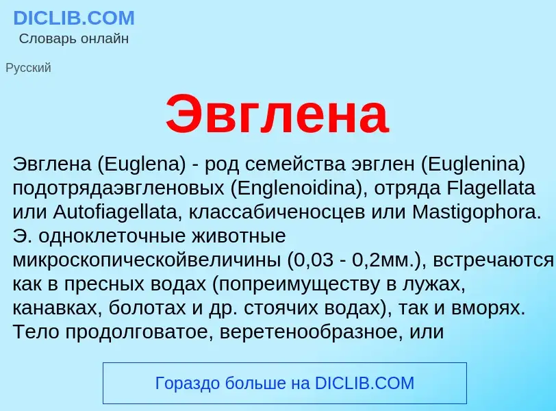 Wat is Эвглена - definition