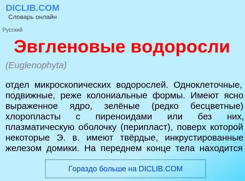 O que é Эвгл<font color="red">е</font>новые в<font color="red">о</font>доросли - definição, signific