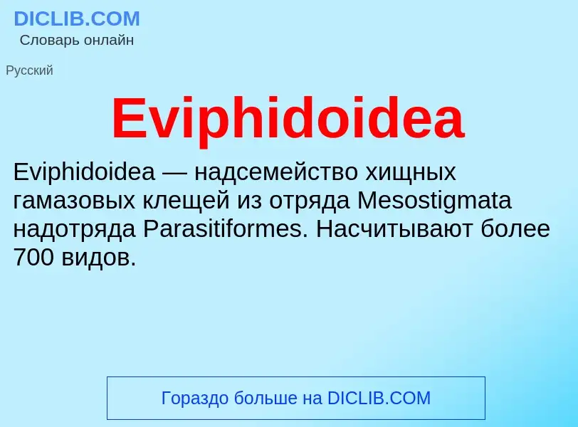 Was ist Eviphidoidea - Definition