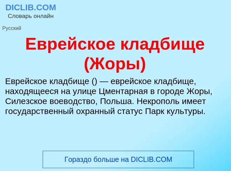 What is Еврейское кладбище (Жоры) - meaning and definition