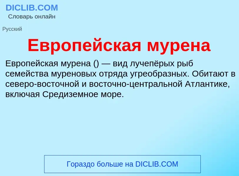 What is Европейская мурена - meaning and definition