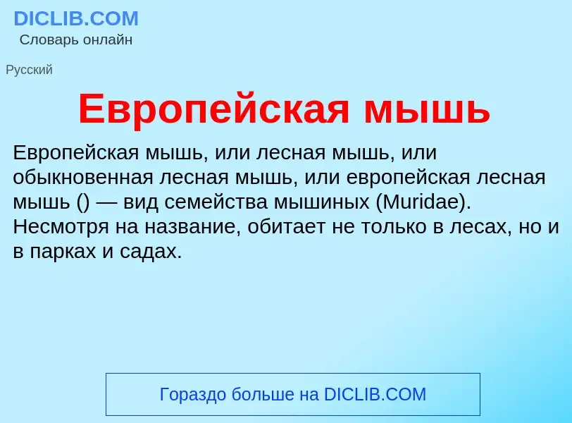 What is Европейская мышь - meaning and definition