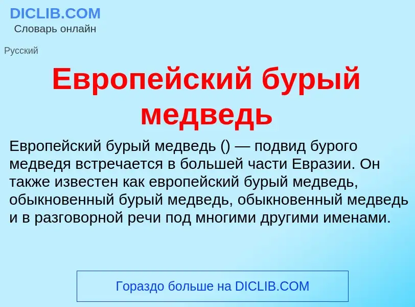 What is Европейский бурый медведь - meaning and definition