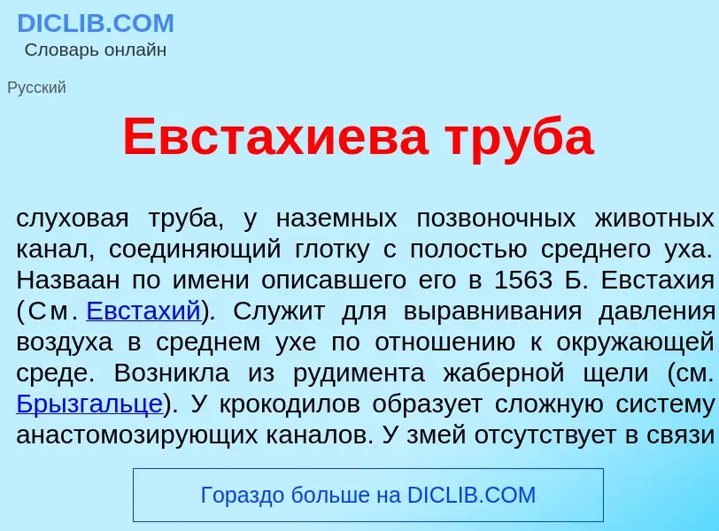 Что такое Евст<font color="red">а</font>хиева труб<font color="red">а</font> - определение