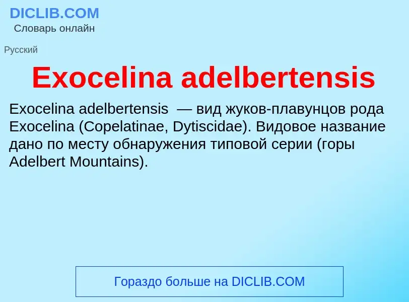 Что такое Exocelina adelbertensis - определение