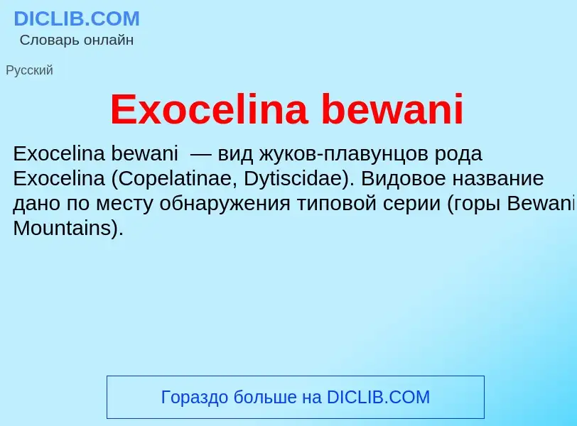 Что такое Exocelina bewani - определение