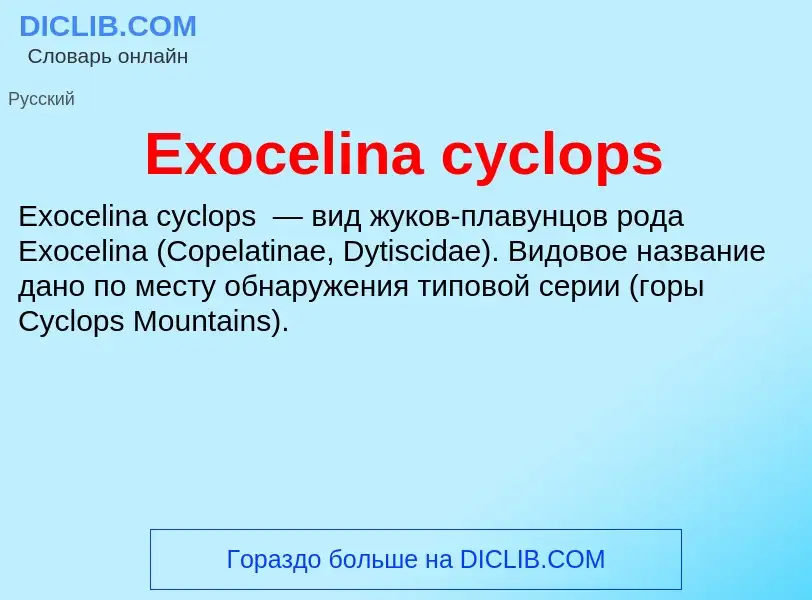 Was ist Exocelina cyclops - Definition