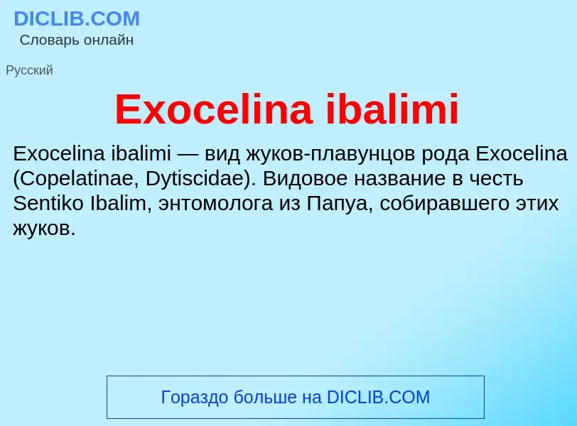 Was ist Exocelina ibalimi - Definition