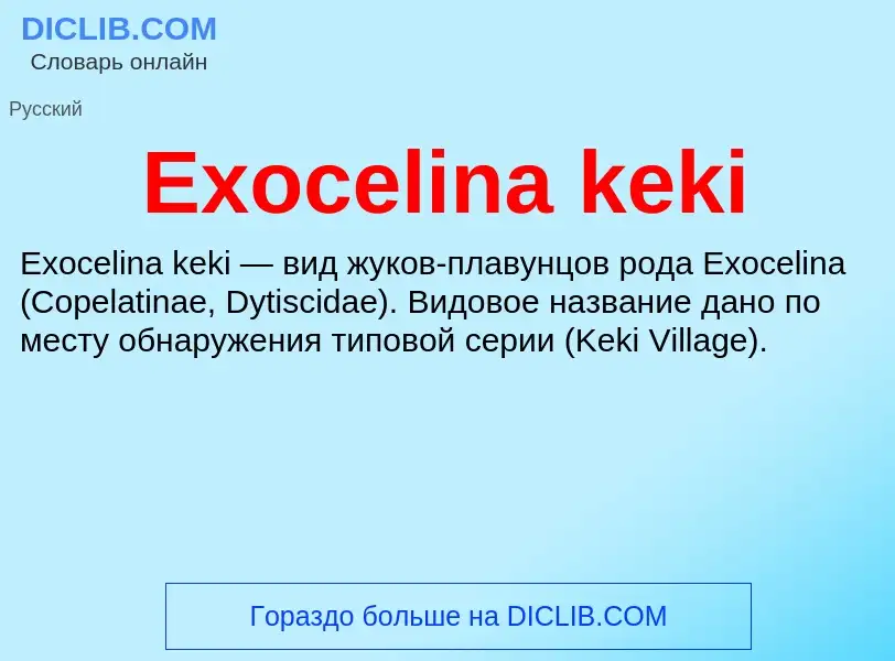 Что такое Exocelina keki - определение