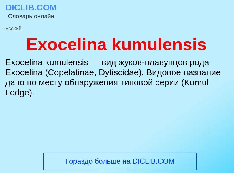 Что такое Exocelina kumulensis - определение