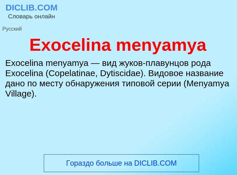 Что такое Exocelina menyamya - определение