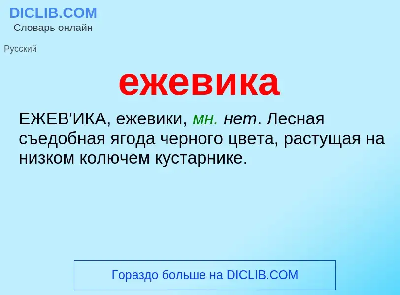 What is ежевика - meaning and definition